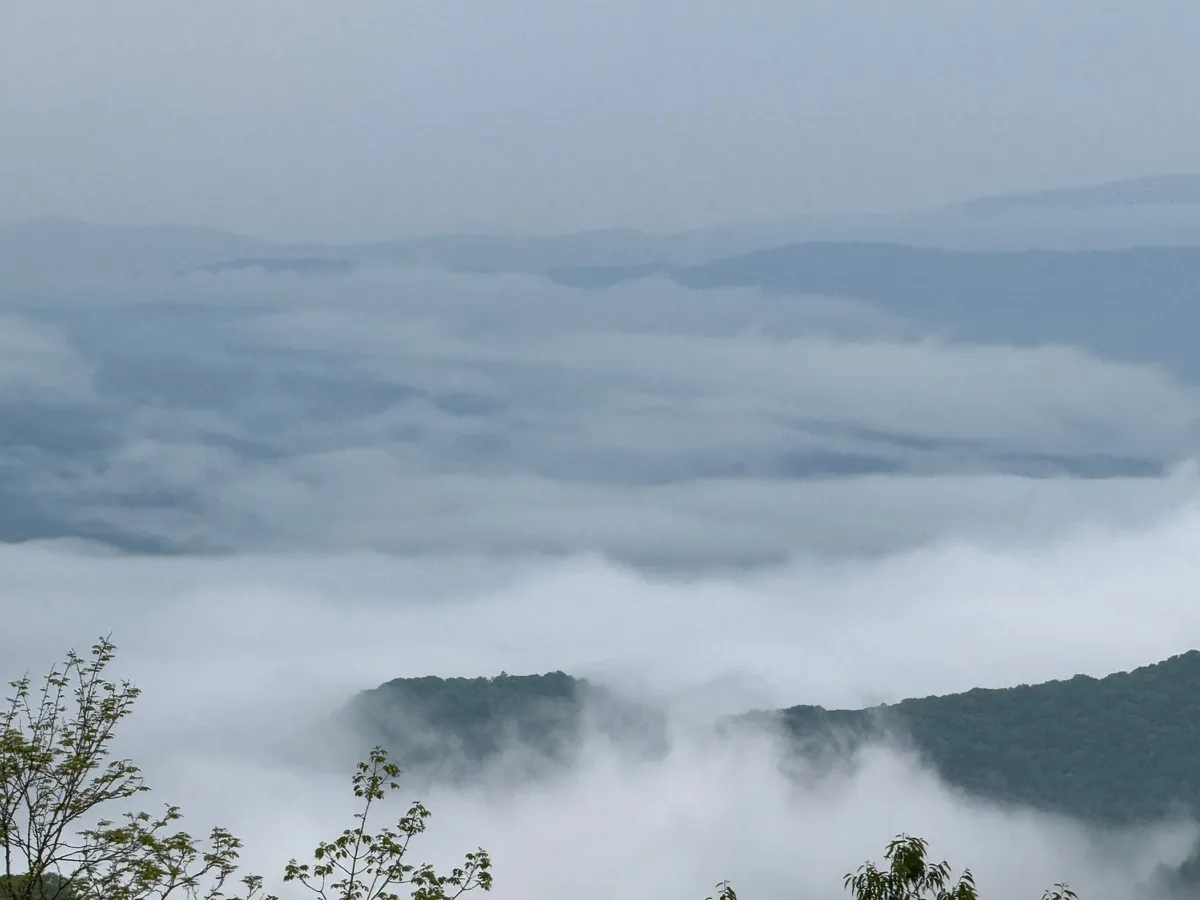 A breathtaking view of mist-covered mountains and layers of fog rolling over distant hills. The serene landscape invites thoughts of scenic walks, hikes, and nature observation—all activities that are dog-friendly and align with the section's promise of mountain adventures.